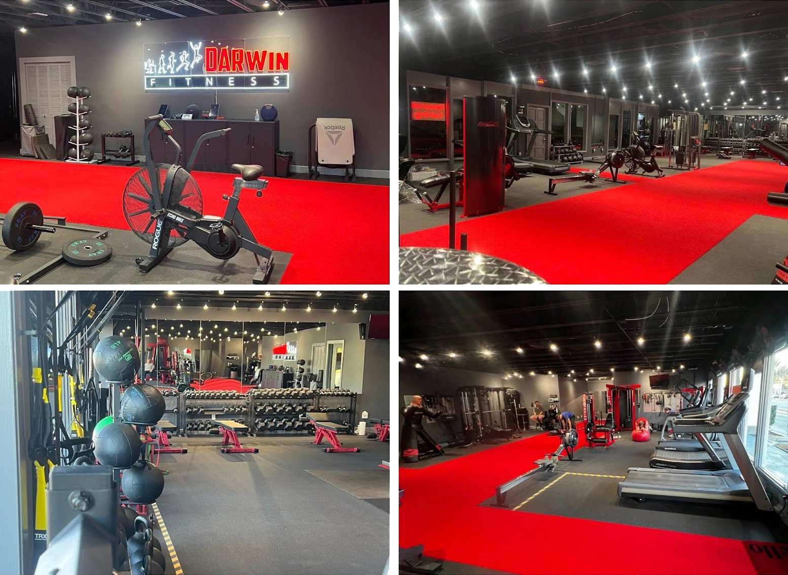 gym-collage-transparent gym collage transparent